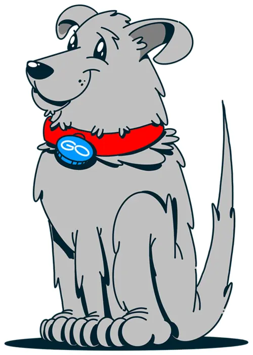 Go, el perrito de rindeMás